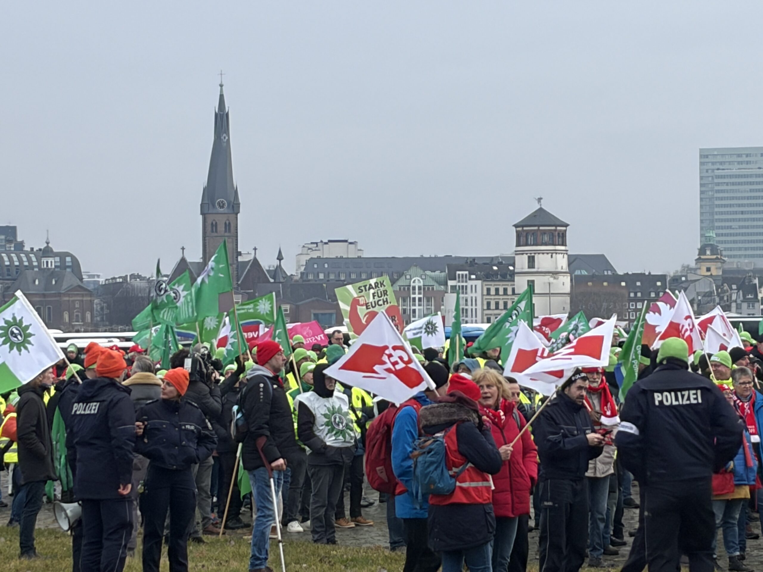 Streikende aus verschiedenen Gewerkschaften auf den Rheinwiesen; im Hintergrund die Altstadt mit Schlossturm
