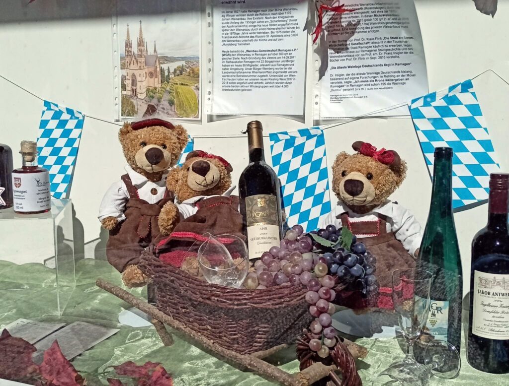 Teddy-Bären im Schaufenster